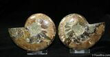 Inch Polished Pair From Madagascar #1066-2